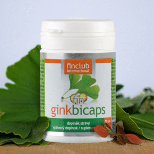 Ginkgo Biloba + Magnézium - Agyi erek jobb vérellátás