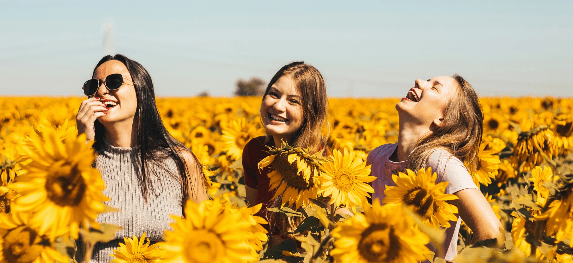 Az AHCC, a daganatos betegségek, rákterápia és immunmodulálás hatóanyaga