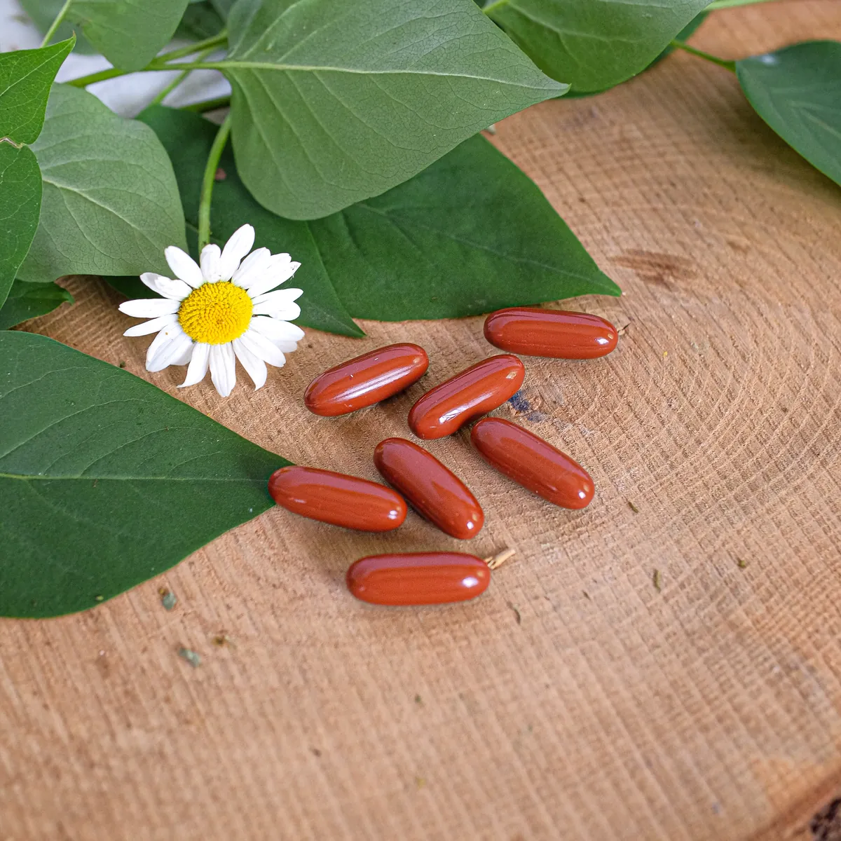 Evocaps - Vitaminkomplex a hajhagymák támogatására