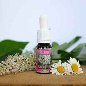 Oreganis - Tömény oreganó-olaj - Természetes antibiotikum