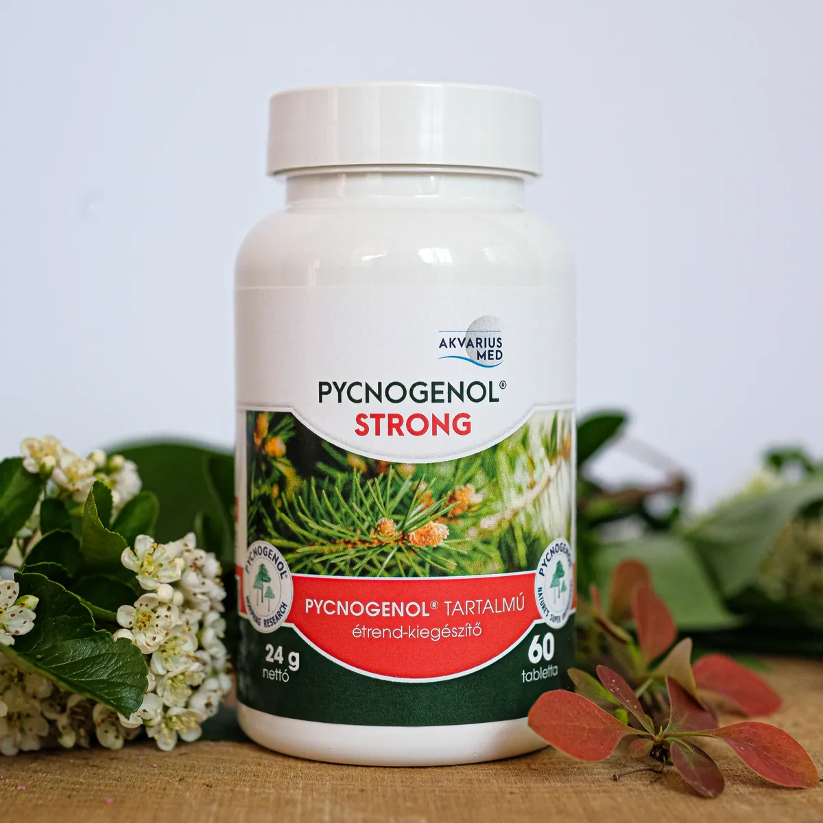 Pycnogenol strong 40 mg - Akvarius Med - magyar.