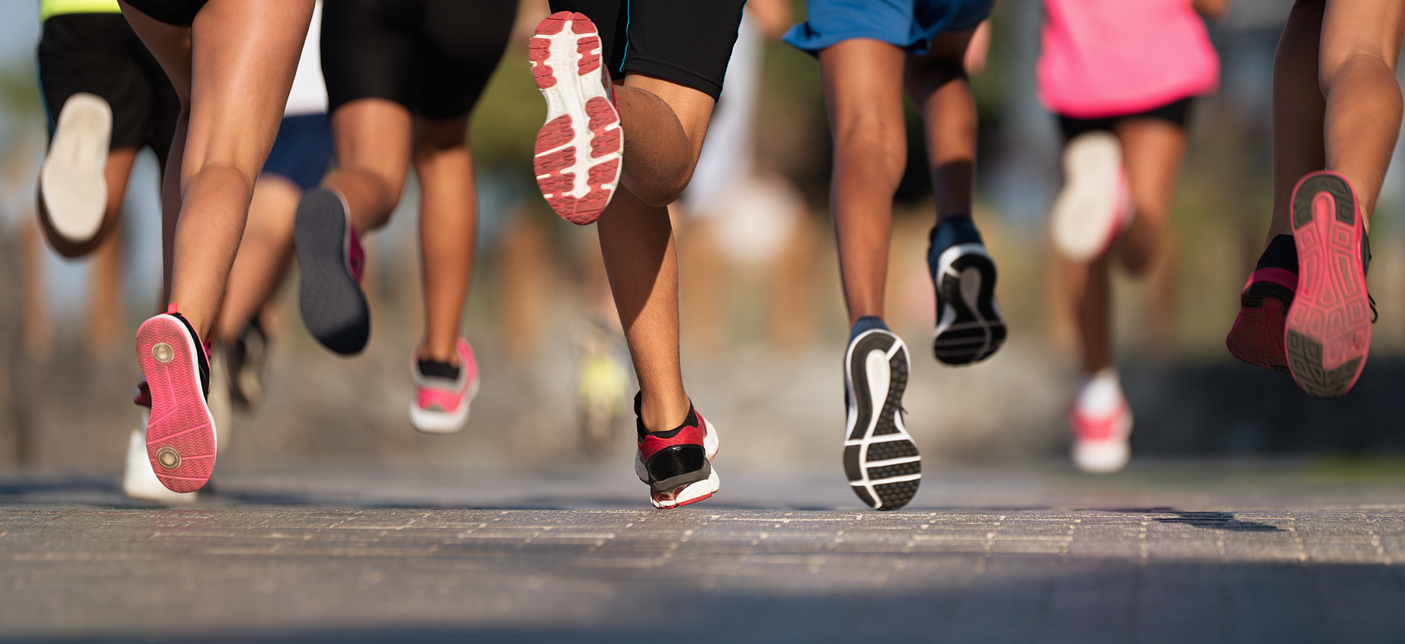 A kondrotin-szulfát az ízületi porcok építő anyaga