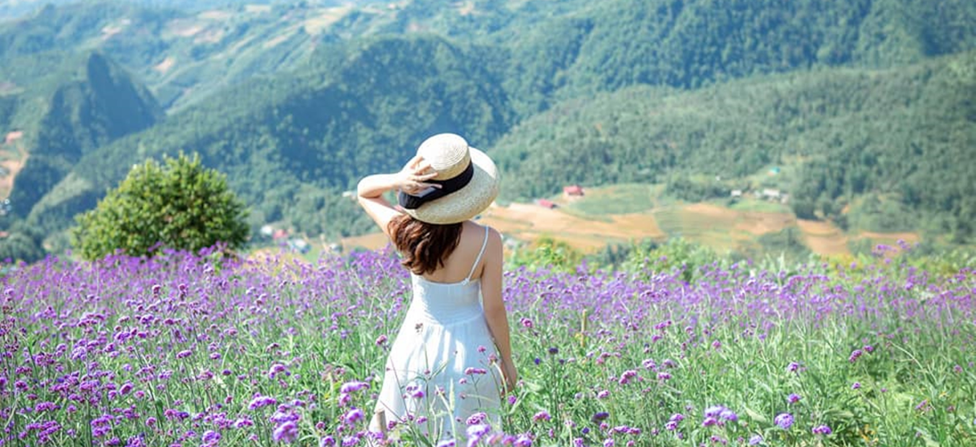 Fito- (növényi) ösztrogének szerepe a nők életében a változó korban és utána